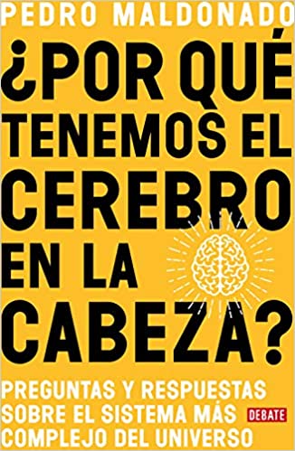 ¿Por qué tenemos el cerebro en la cabeza? by Pedro Maldonado (Junio 23, 2020)